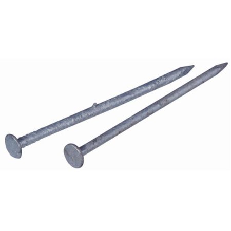 HILLMAN Common Nail, 2 in L, 6D, Steel, Galvanized Finish 195619